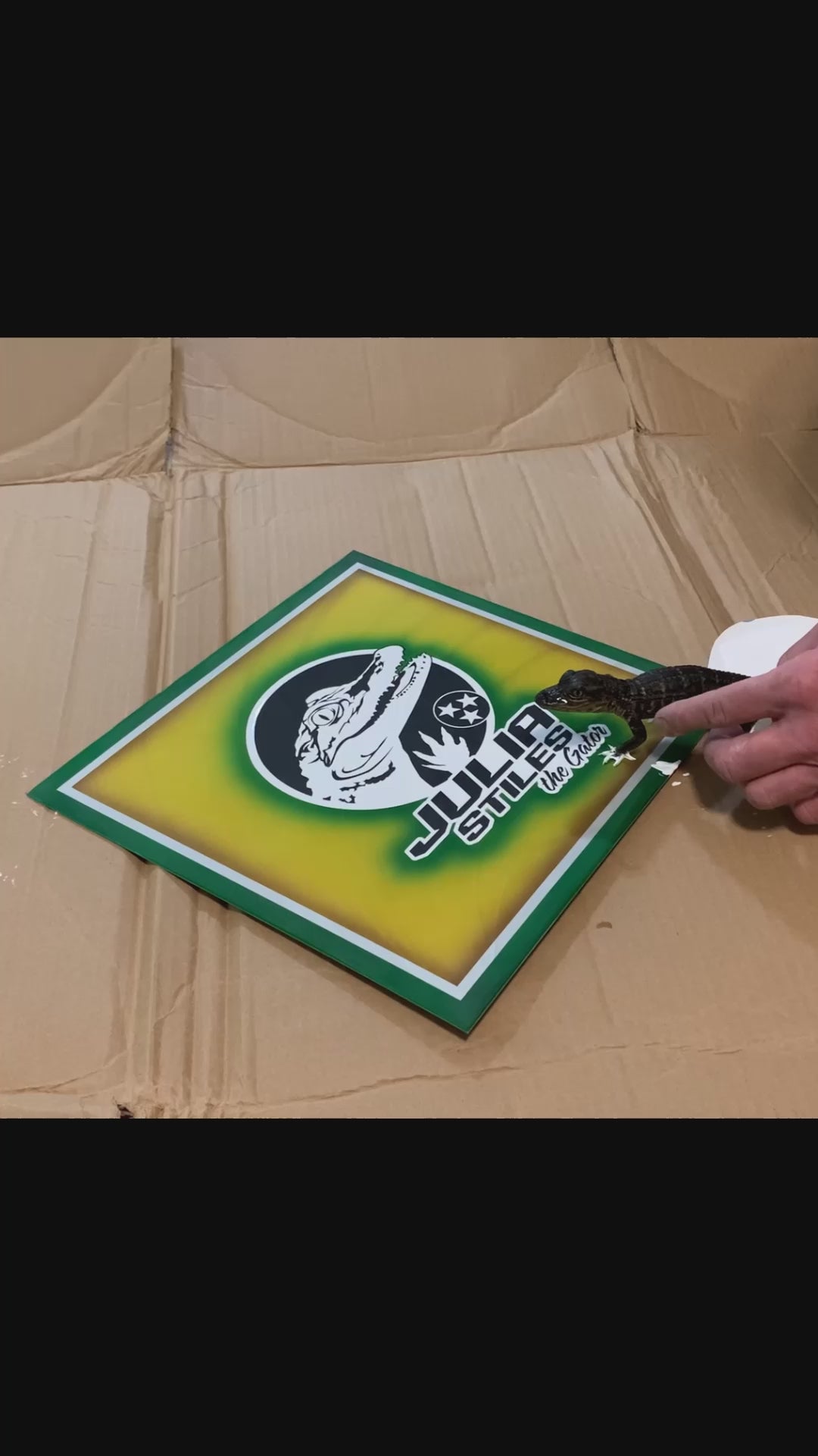 Julia Stiles' - Aluminum LOGO Plate