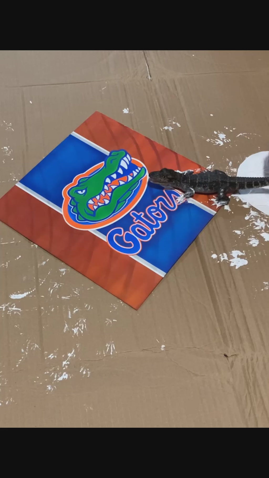 Florida Gators TEAM Portrait Aluminum Plate