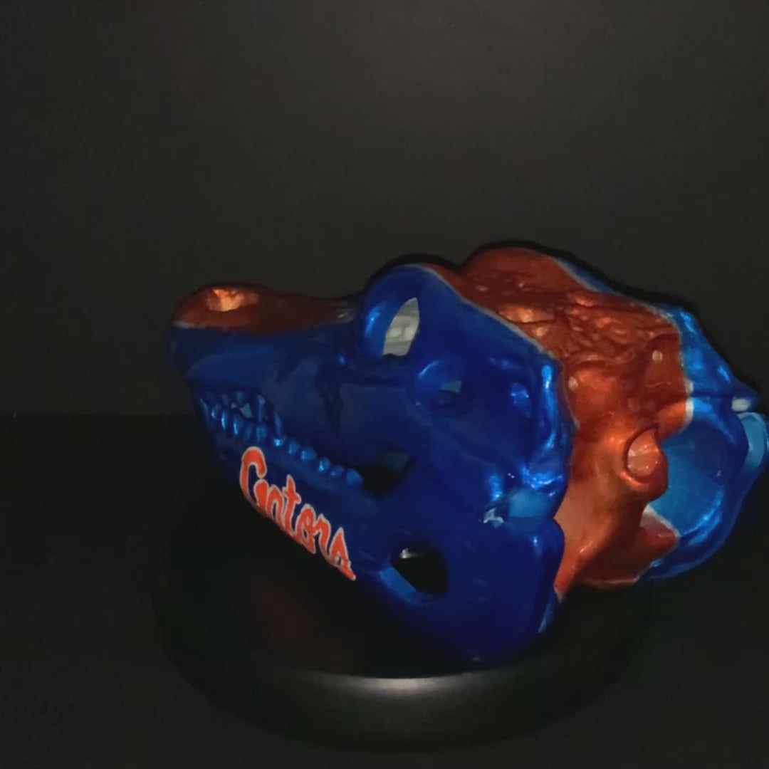 Florida Gators custom painted Alligator TEAM Skull