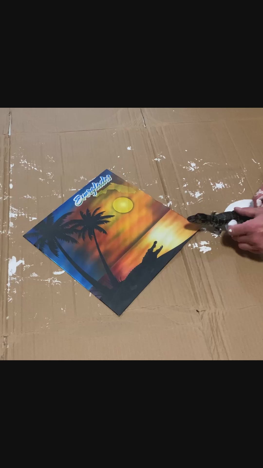 Florida Everglades Sunset Scene Portrait Aluminum Plate